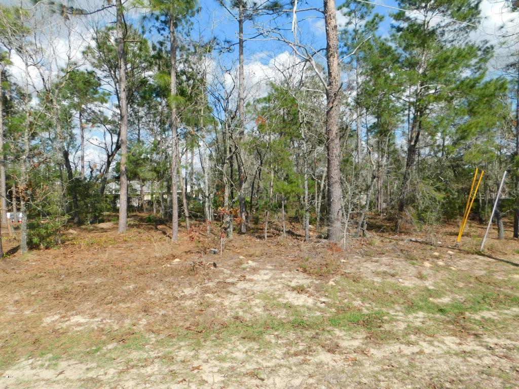 Pecan Pass Loop, Ocala, FL 34472