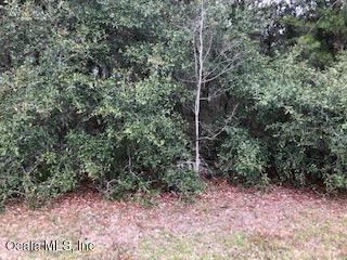 00 SW 107th Loop, Ocala, FL 34476