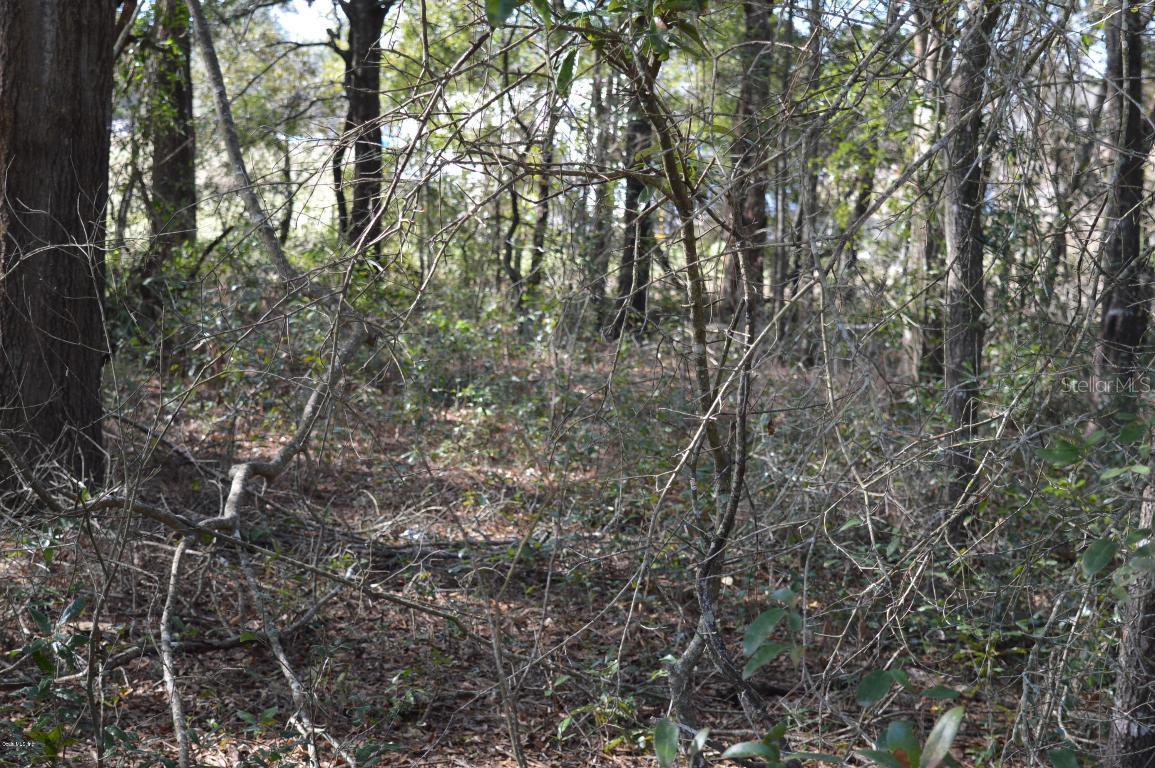 TBD NE 139th Ave., Williston, FL 32696