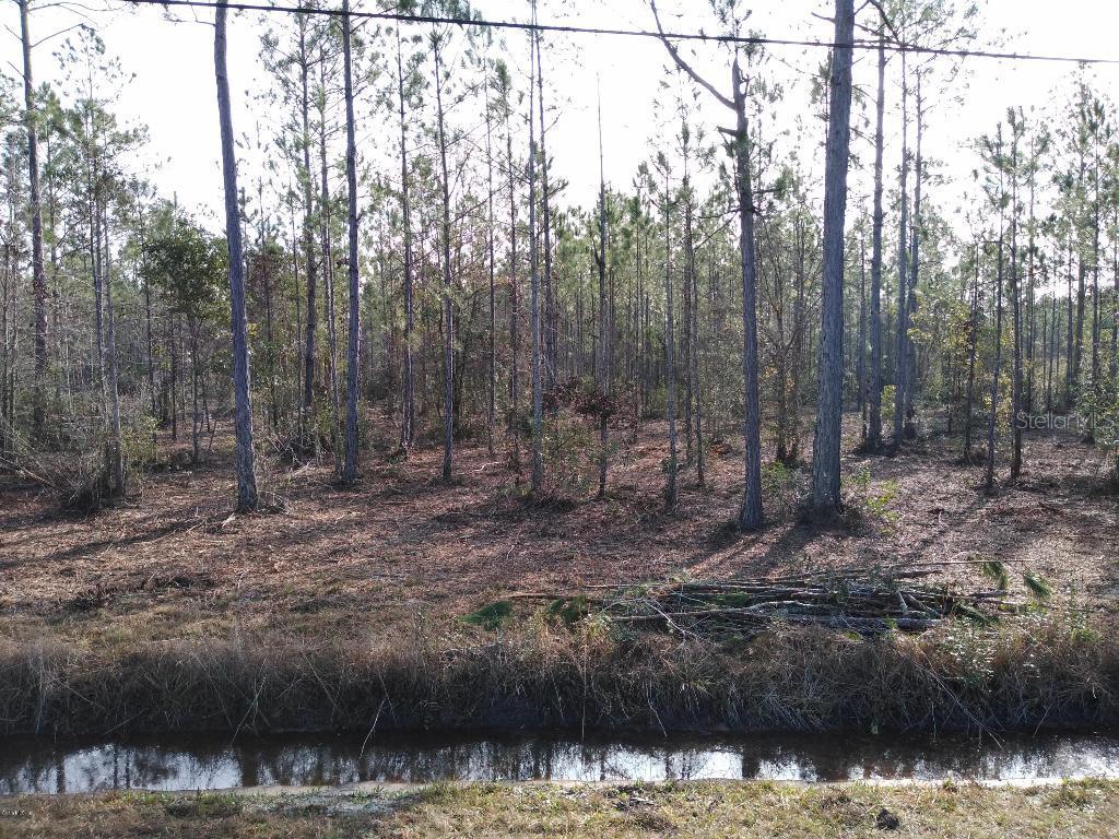 TBD Delgado, Hastings, FL 32145