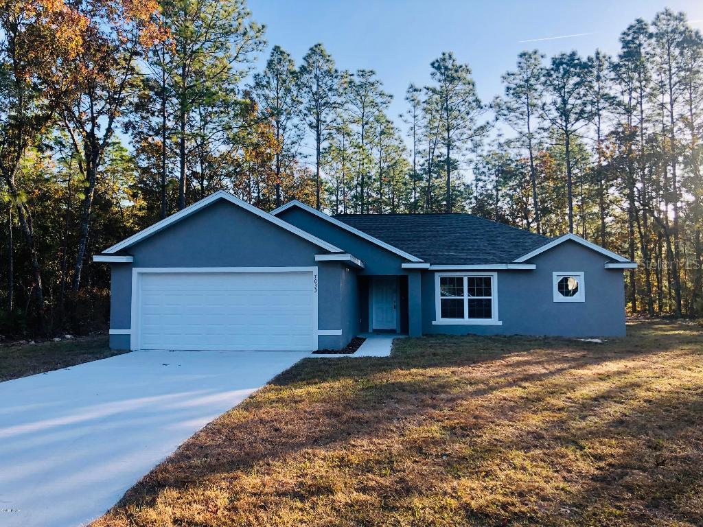 7033 SW 131st Loop, Ocala, FL 34473