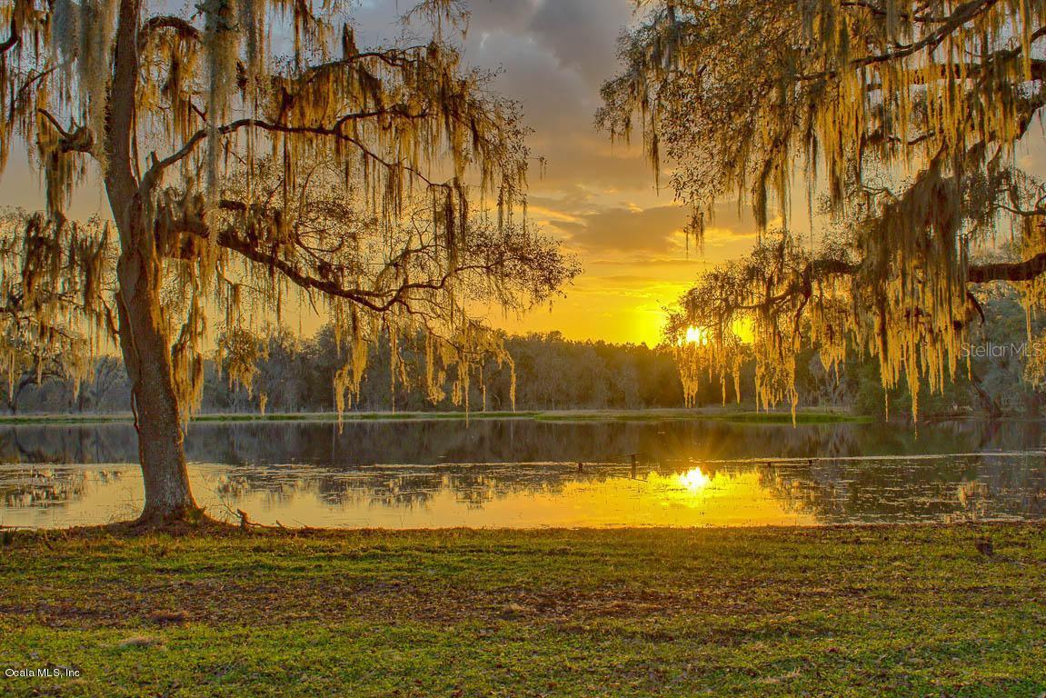 8480 NW Hwy 225, Ocala, FL 34482