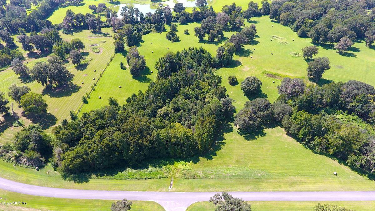 SE 22nd Ave., Ocala, FL 34480