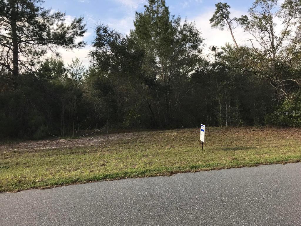 Sw 161st  Loop, Ocala, FL 34473