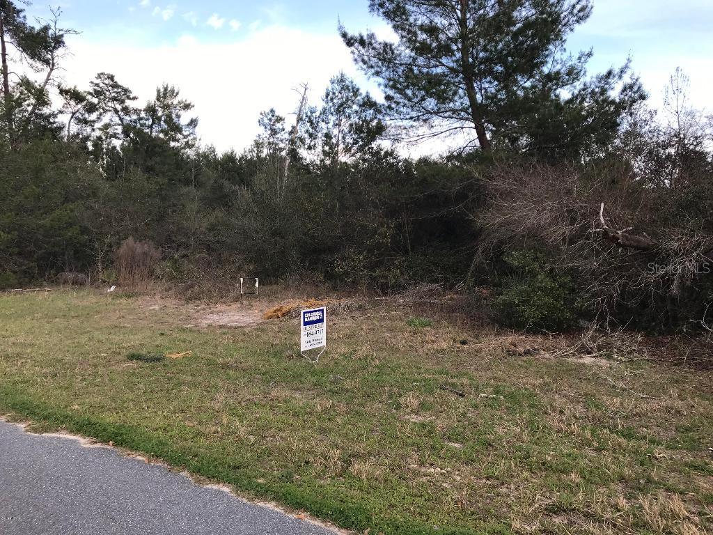 Lot 17 SW 161st Loop, Ocala, FL 34473