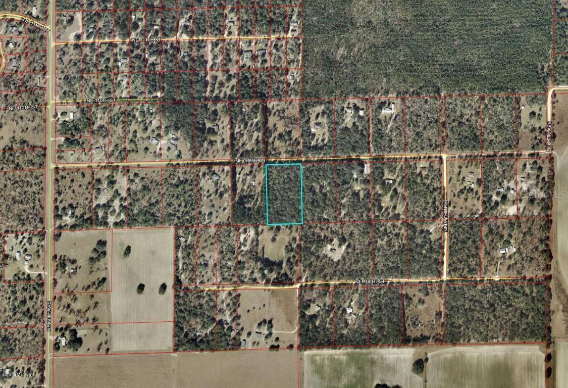 TBD NE 108 Ln., Williston, FL 32696