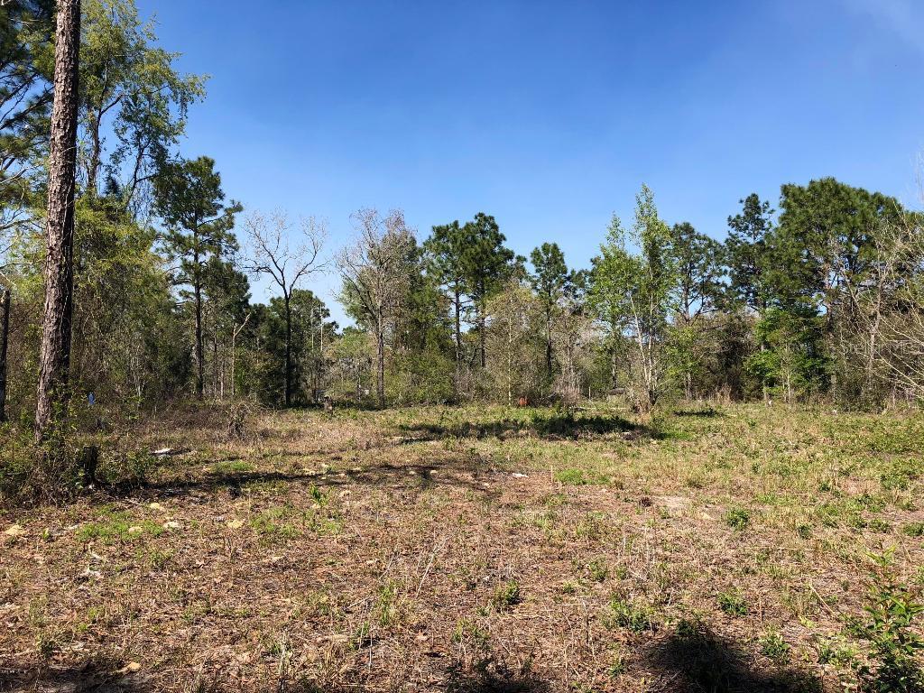 21871 SE 68th Ln., Morriston, FL 32668