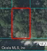 SE 136 St., Belleview, FL 34420