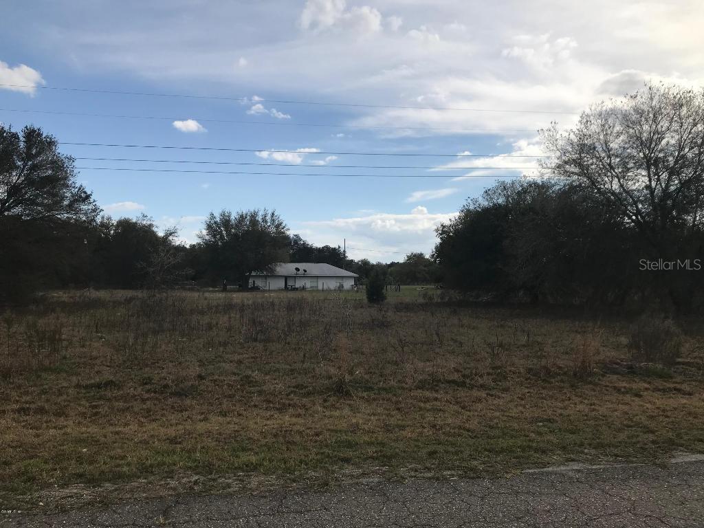 Guava Track, Ocklawaha, FL 32179