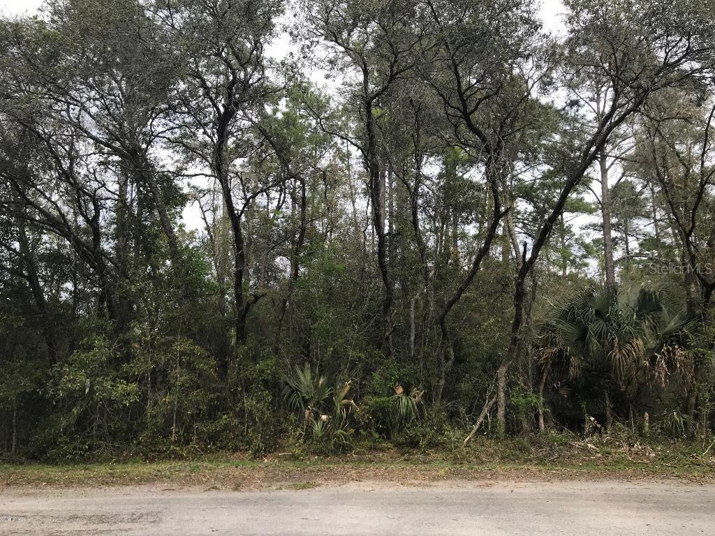 Locust Loop Cir., Ocala, FL 34472