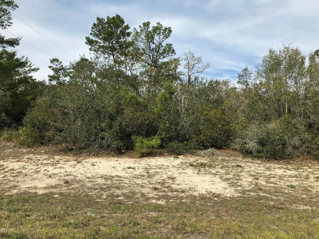 SW 45 Cir., Ocala, FL 34476