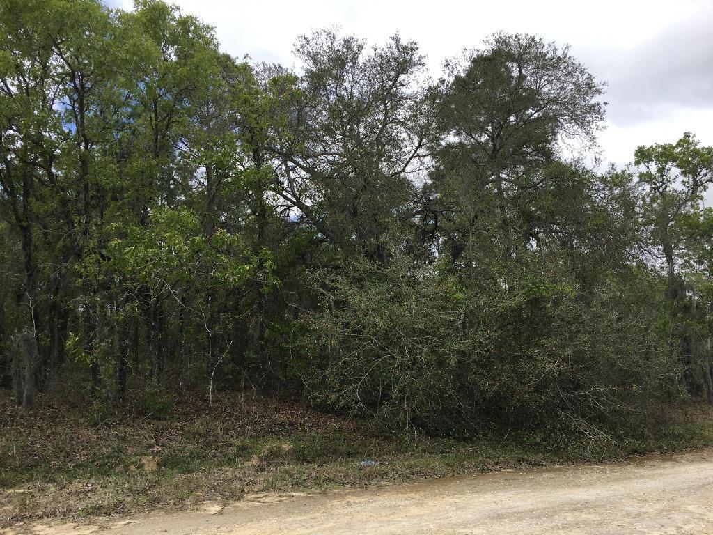 TBD SE 5th Pl., Williston, FL 32696
