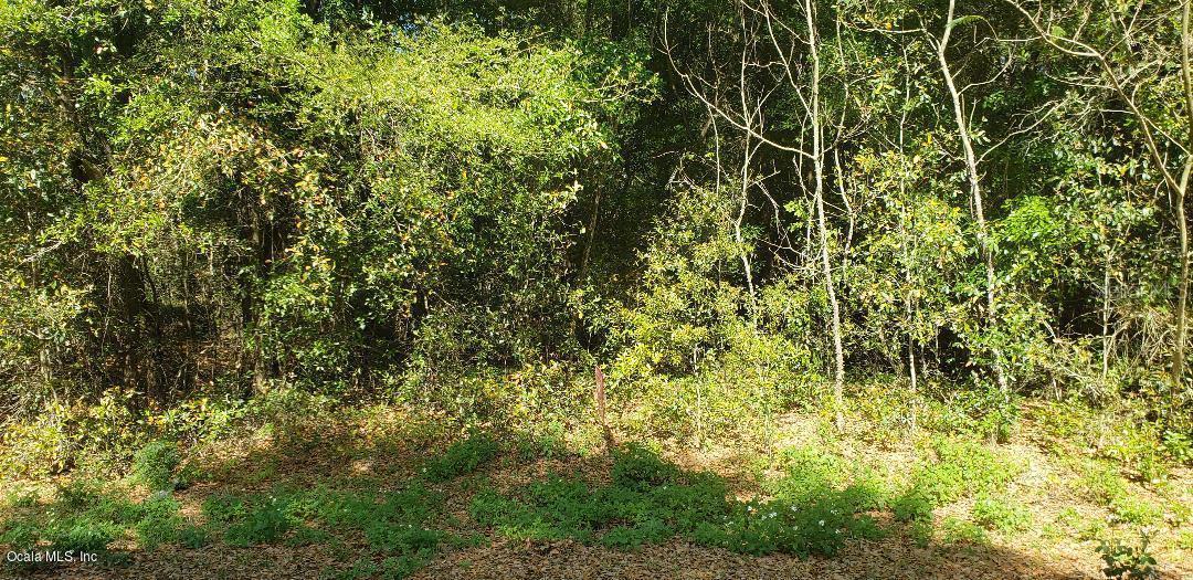 Dogwood Trl Dr., Ocala, FL 34472