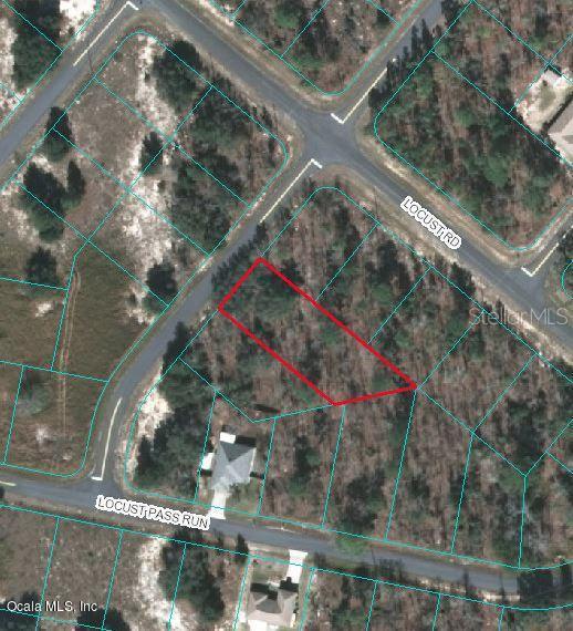 000 Locust Loop Pass, Ocala, FL 34472