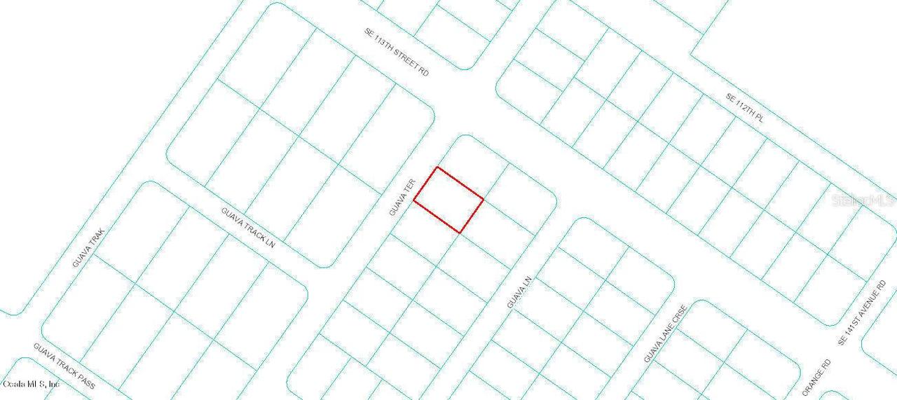 Guava Ter., Ocklawaha, FL 32179