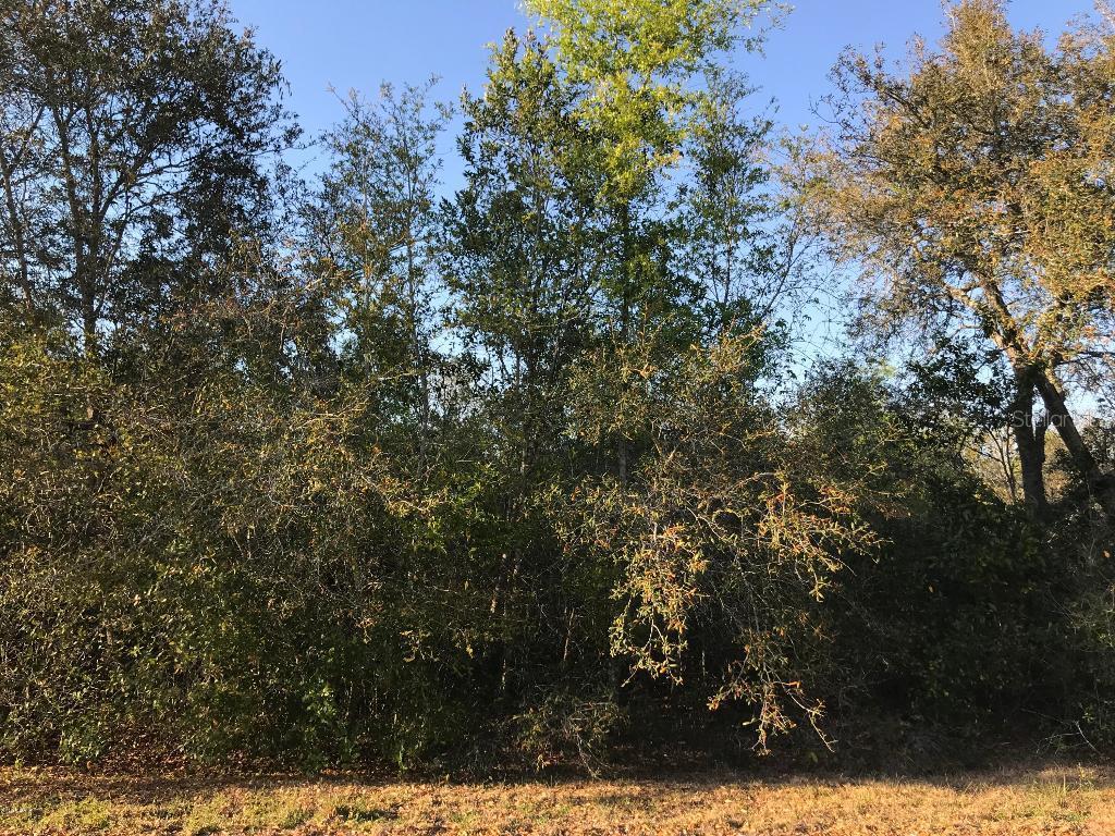 Oak Circle Way, Ocala, FL 34472