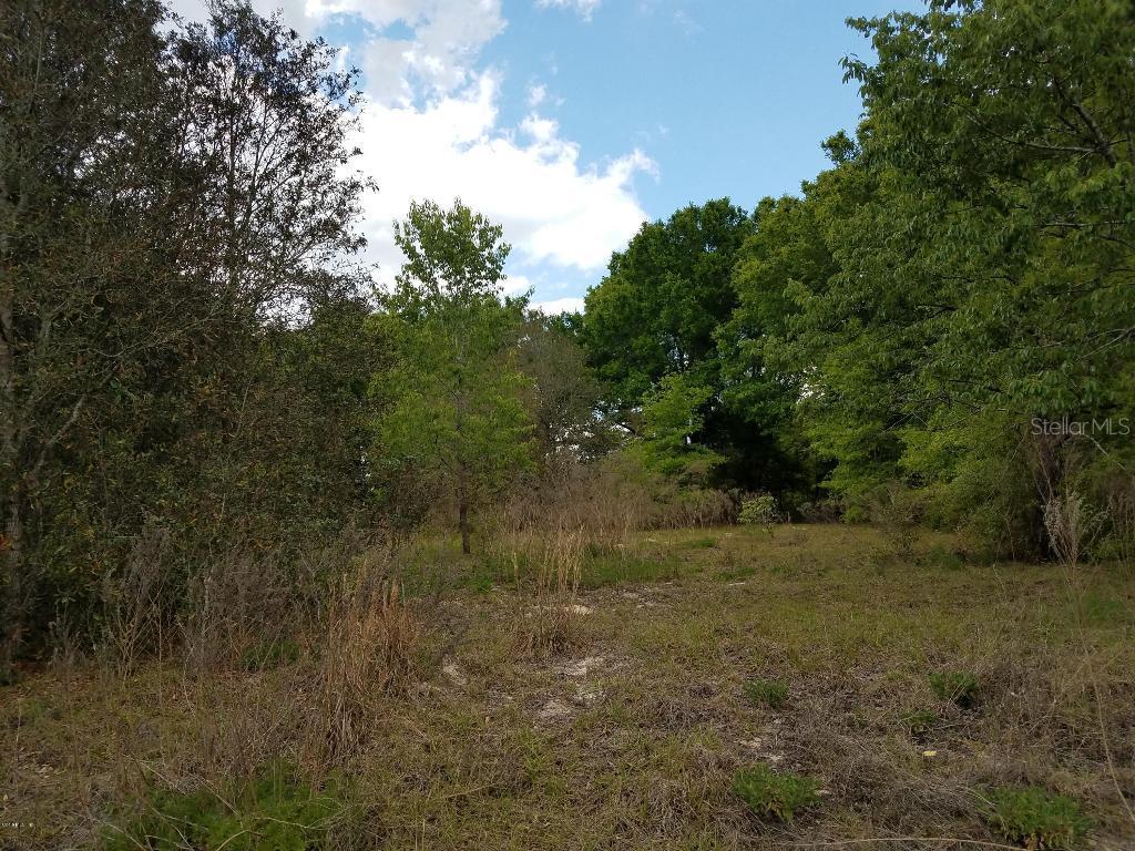 000 Juniper Rd., Ocala, FL 34480