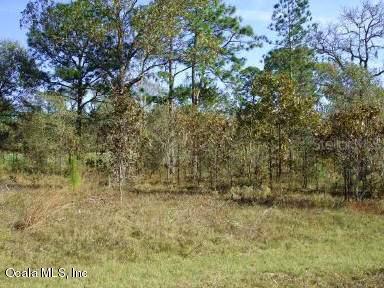 TBD NE 8th St., Williston, FL 32696