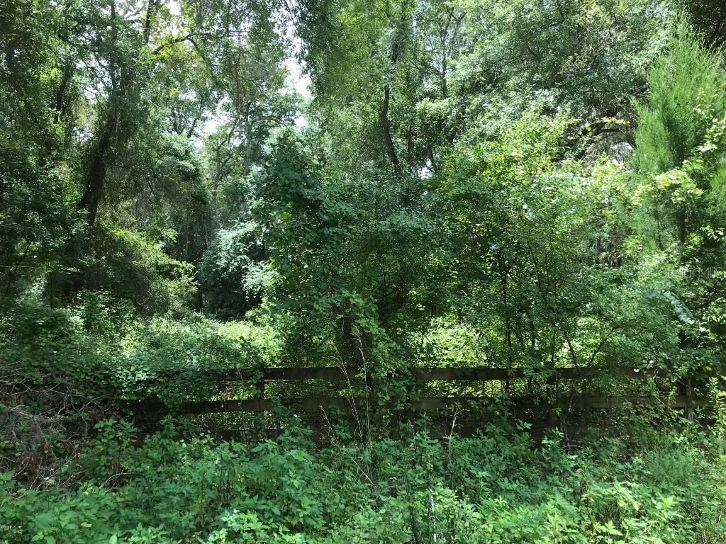 NE 135th St., Anthony, FL 32617