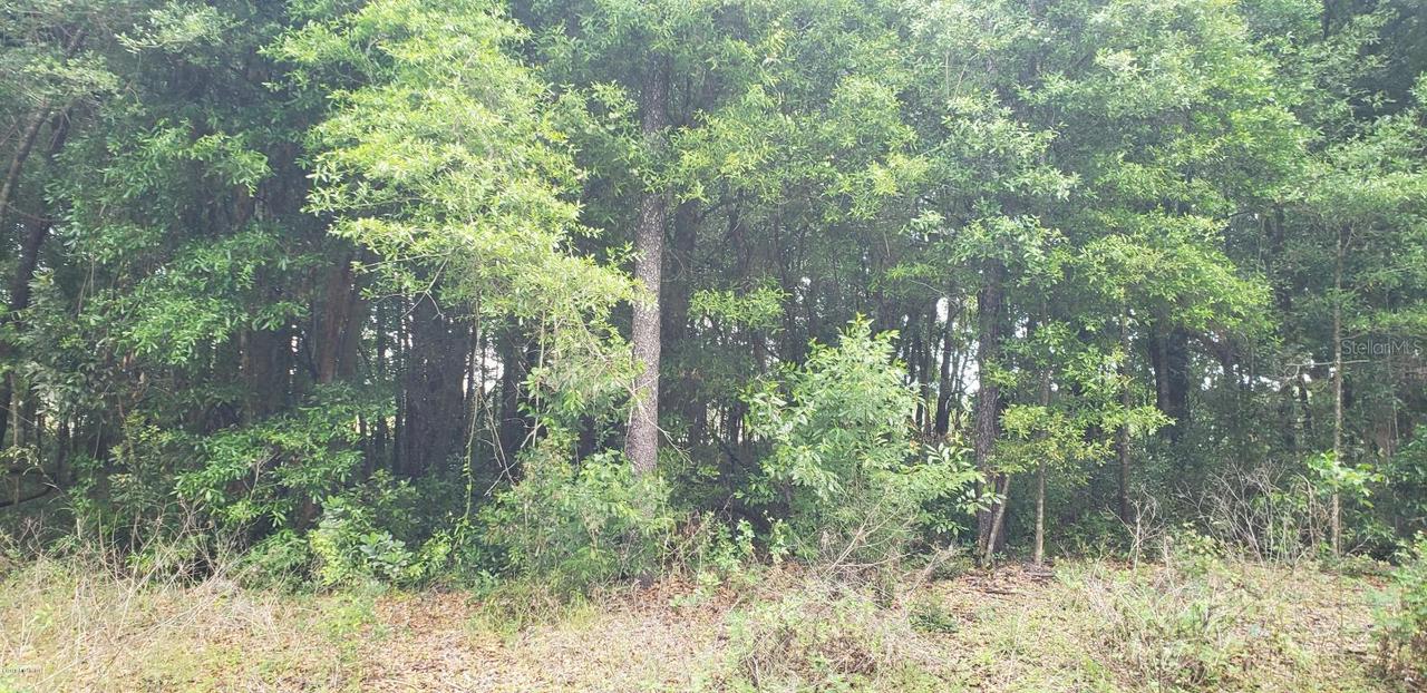 Pine Trace Crse, Ocala, FL 34472