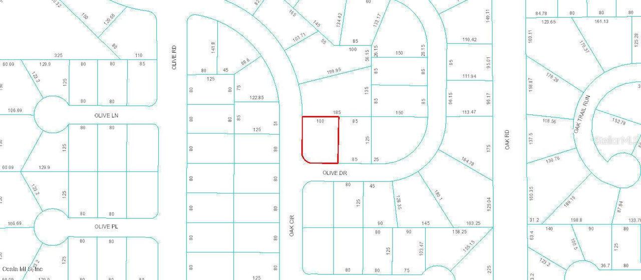 TBD Olive Dr., Ocala, FL 34472