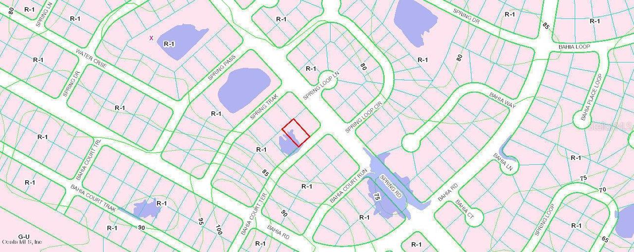 TBD Tbd Bahia Ct Ter., Ocala, FL 34472