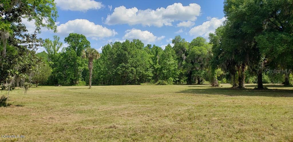 10+/-ac NE 189 Ln., Citra, FL 32113