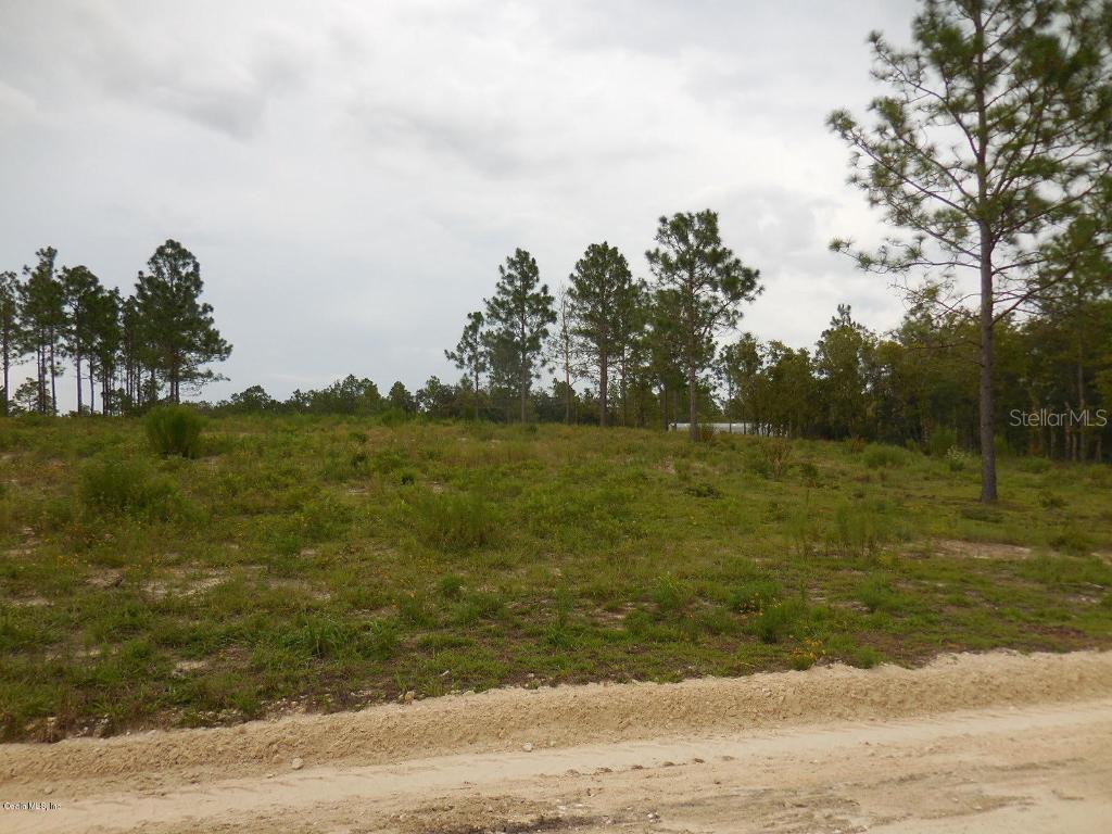 NE 4th St., Williston, FL 32696