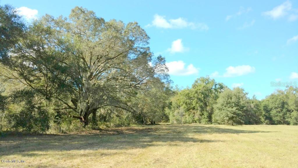 31ac NW Nw Gainesville Rd, Ocala, FL 34475