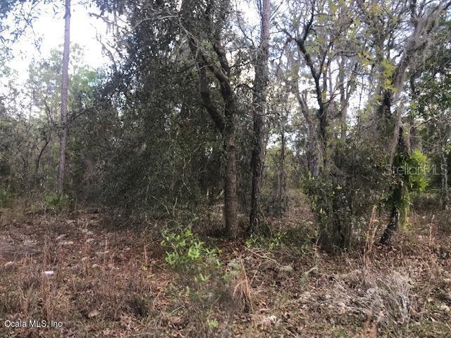 TBD NE 64th Pl., Williston, FL 32696