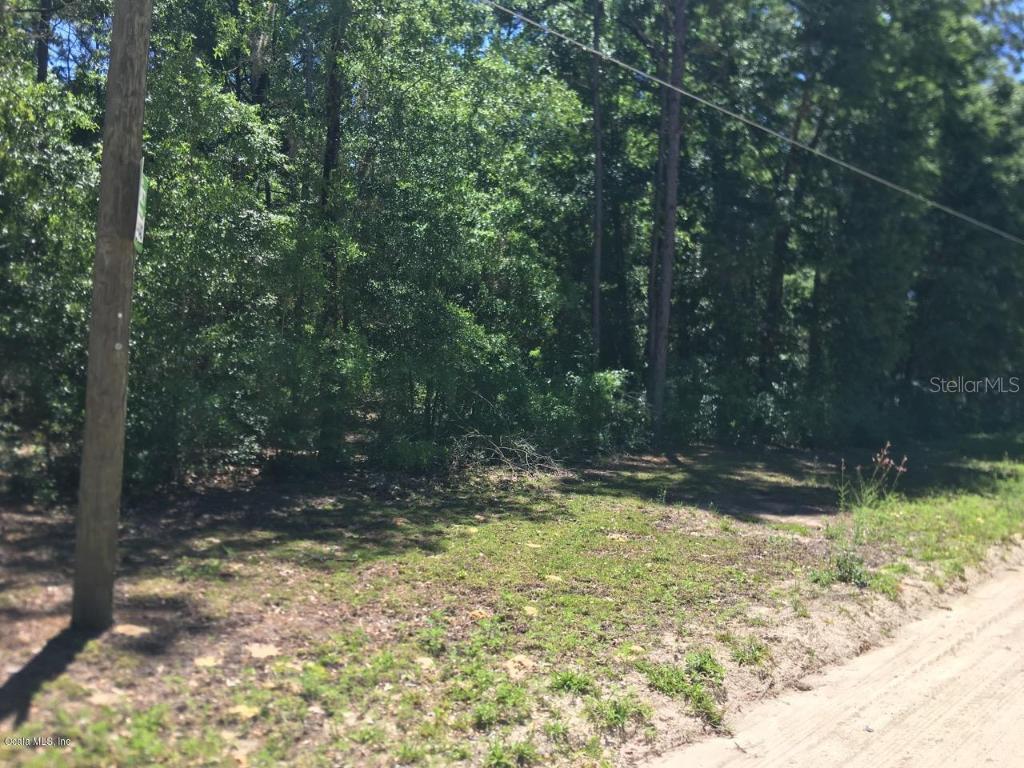 TBD NE 142nd Ave., Williston, FL 32696