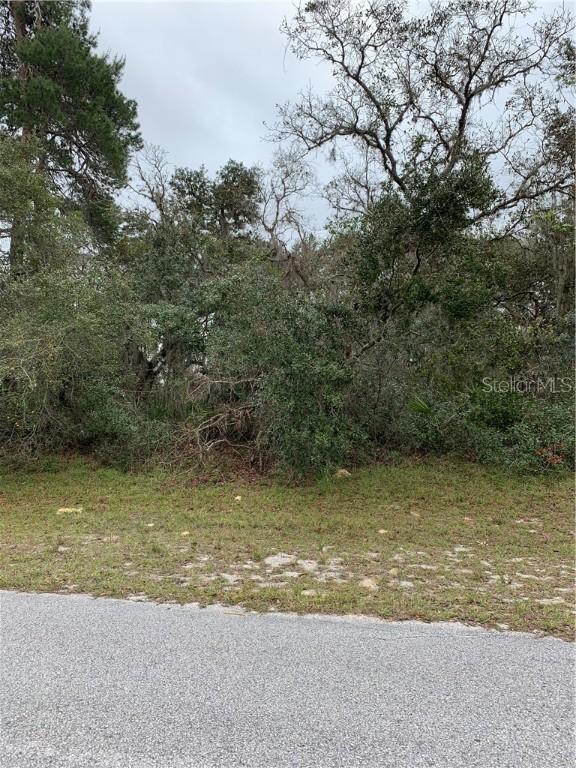 NW 125th Ave Ave., Ocala, FL 34482