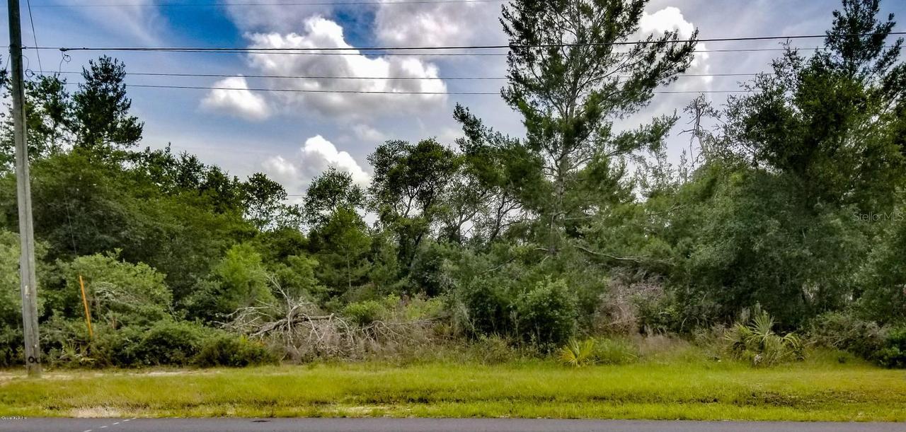 TBD SW 29th Ave., Ocala, FL 34473