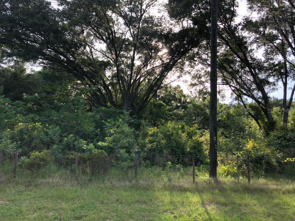 SE 36 Ave., Summerfield, FL 34491