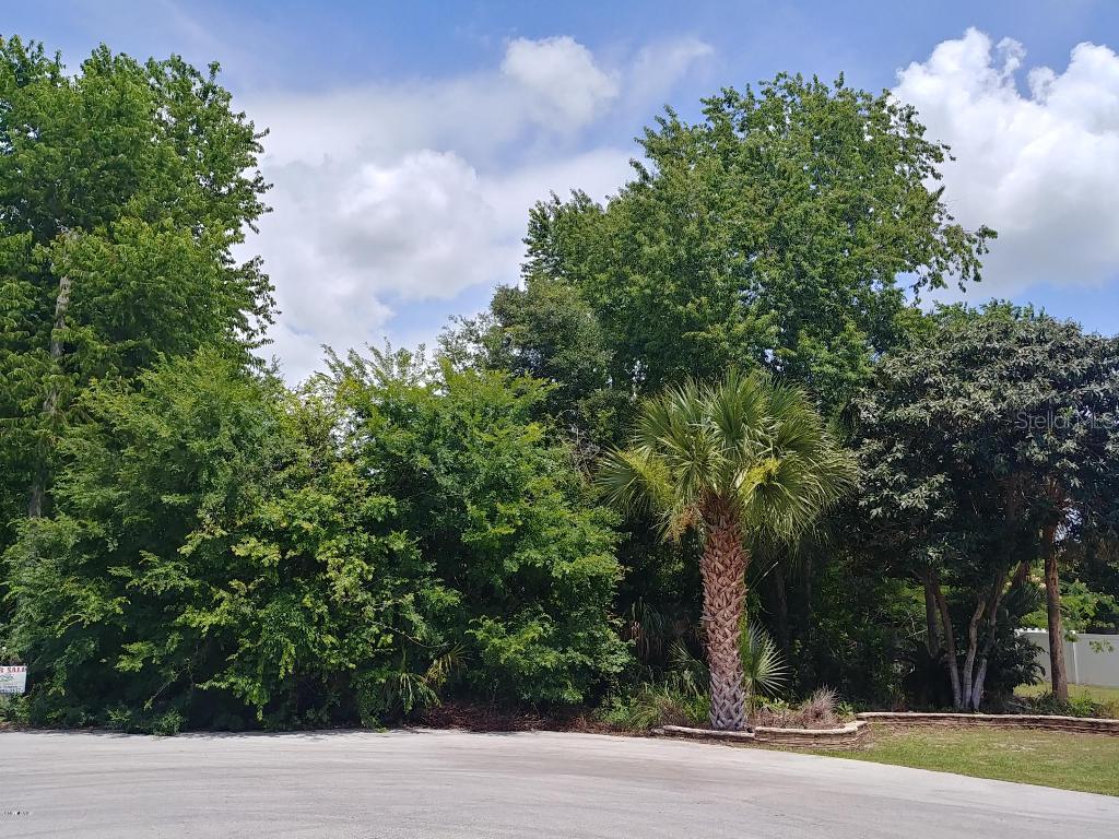 TBD Pine Track Pl., Ocala, FL 34472