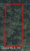 13890 W Hwy 328, Ocala, FL 34482