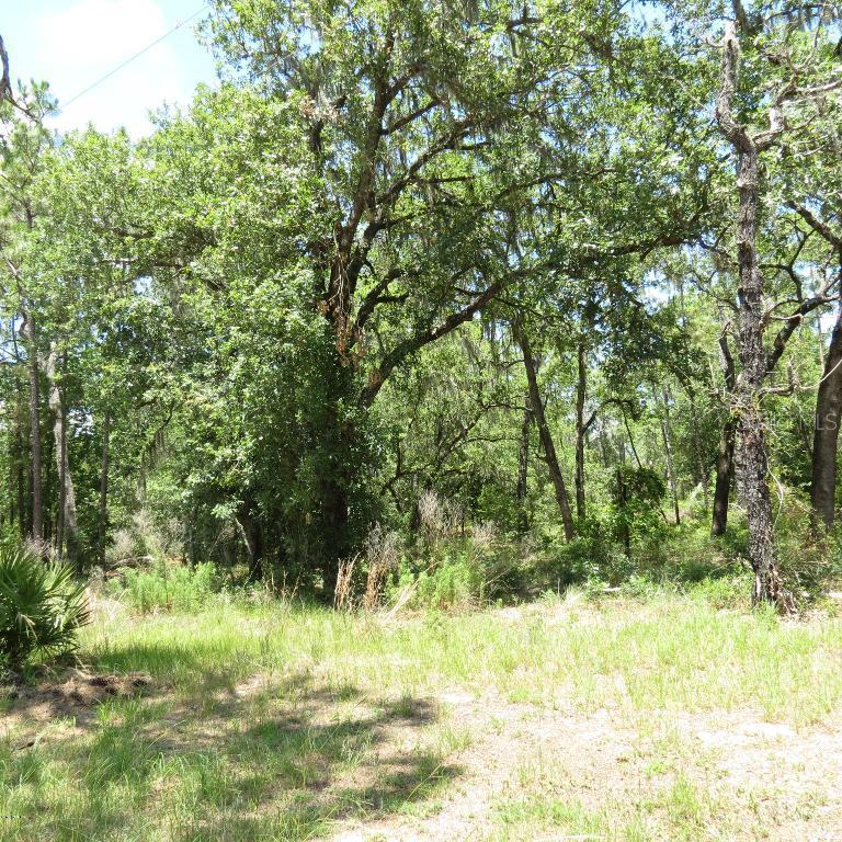0000 SE 3rd St., Williston, FL 32696