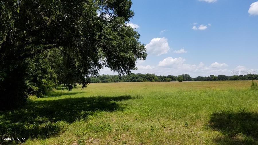 TBD N Sr 41, Williston, FL 32696