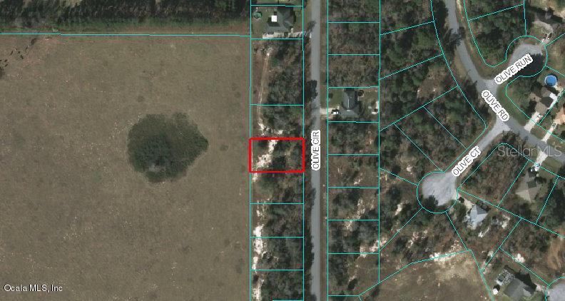 00 Olive Cir., Ocala, FL 34472