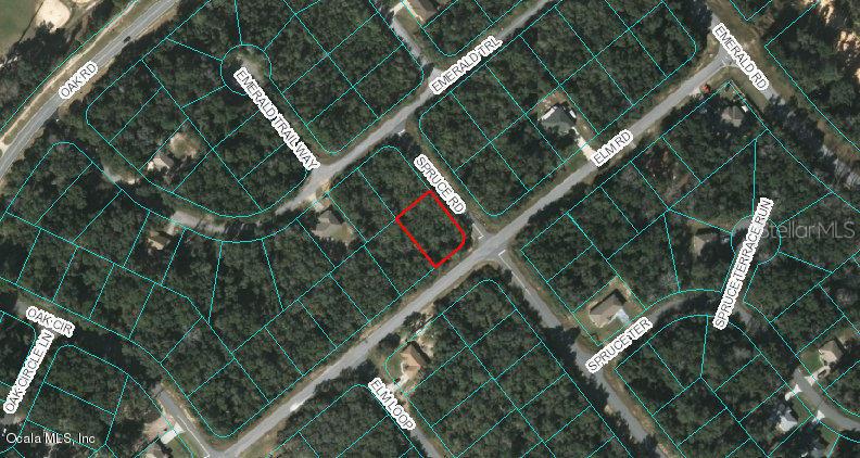 00 Elm Rd., Ocala, FL 34472