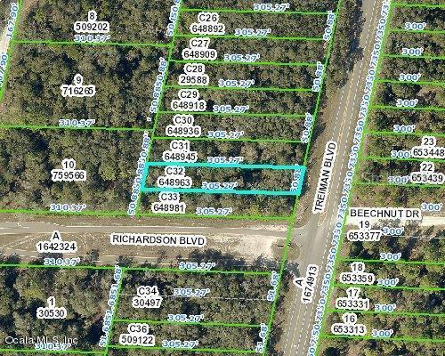 00 Treiman Blvd., Webster, FL 33597