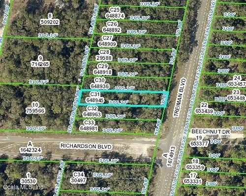 00 Treiman Blvd., Webster, FL 33597
