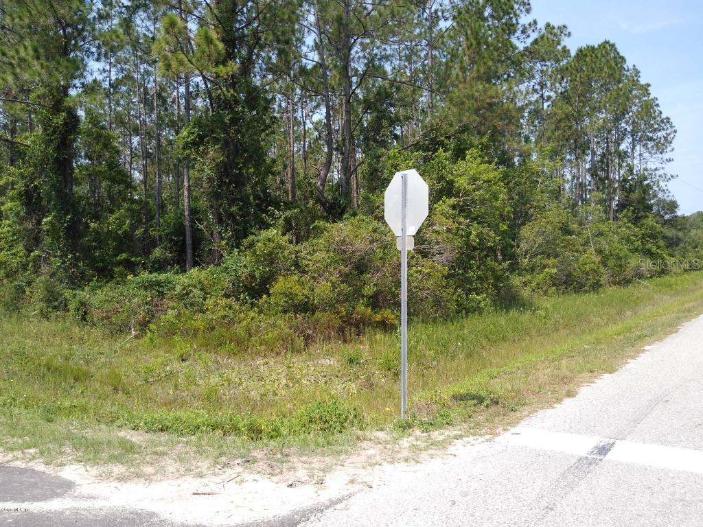 4405 Melanie St., Hastings, FL 32145