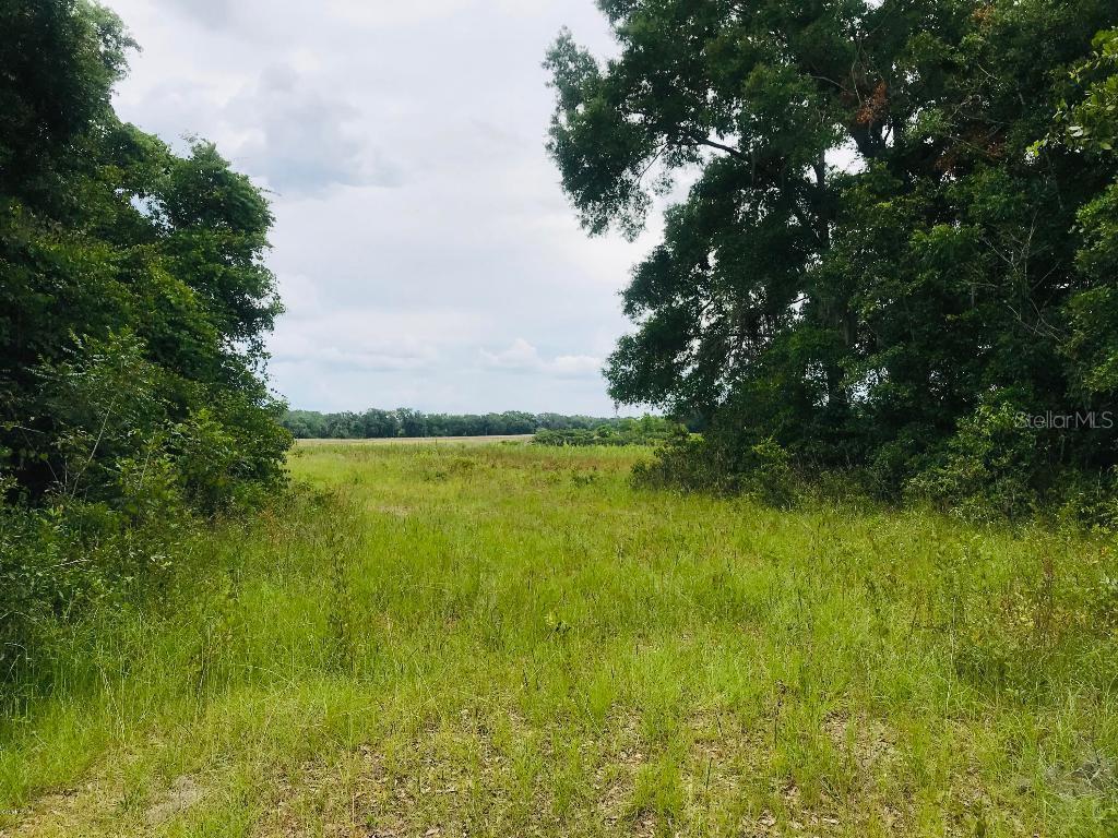 750 NE 170th Ave., Williston, FL 32696