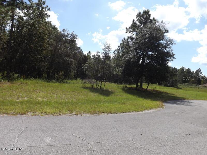 SW 143 St., Ocala, FL 34473