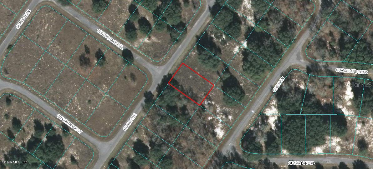 Guava Ter., Ocala, FL 34472