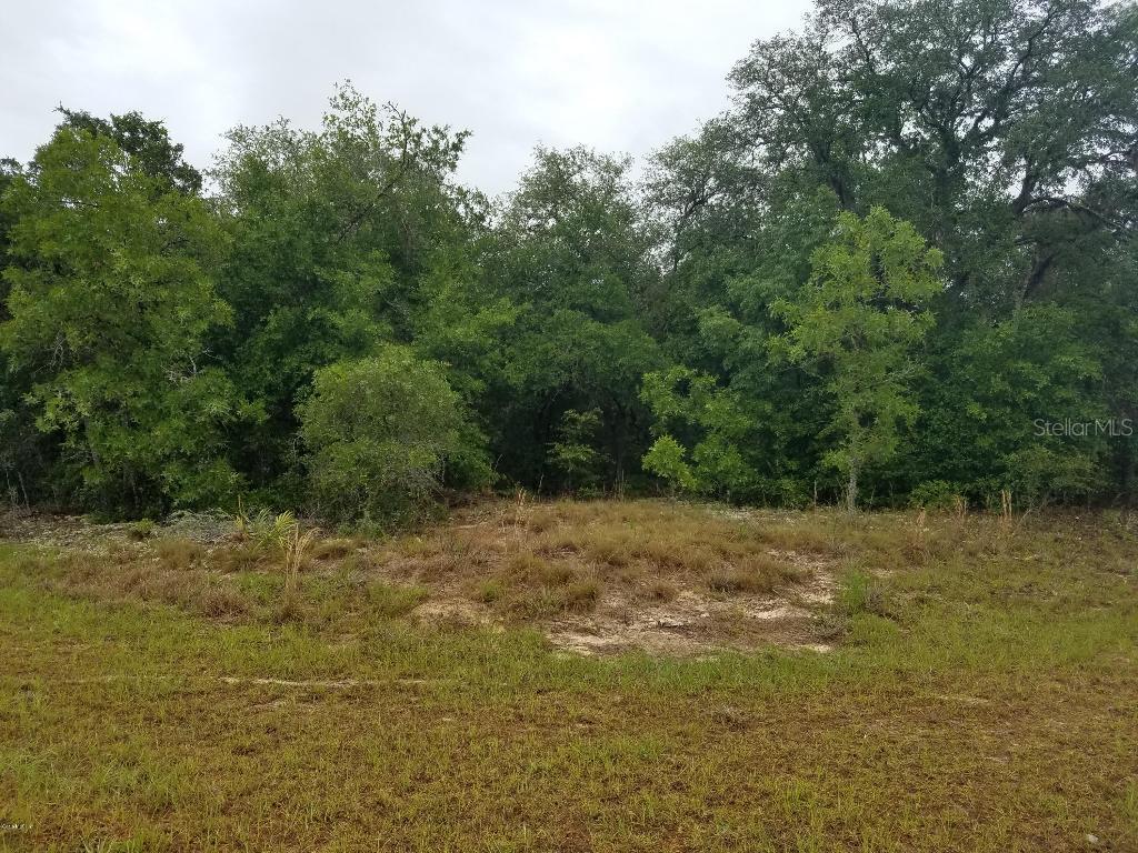 Lot 3 Locust Loop Run, Ocala, FL 34472