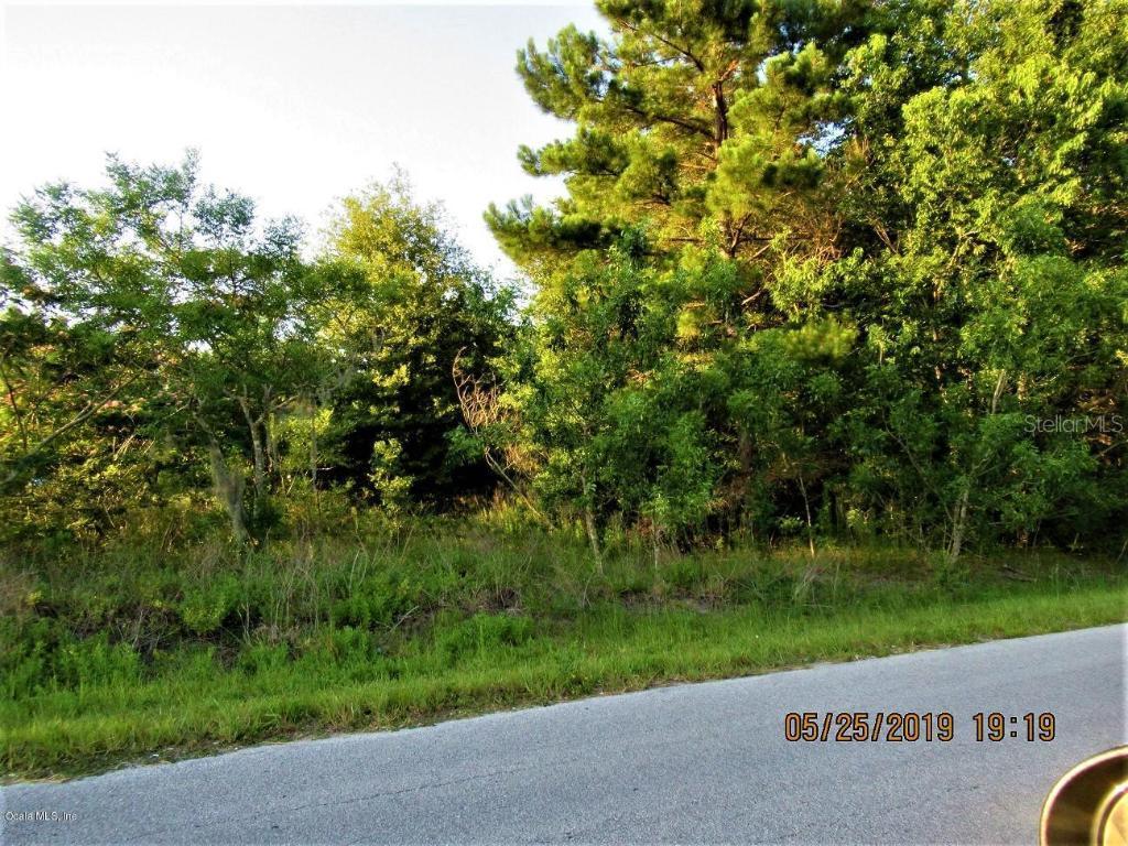 00-9 Pine Course Pl., Ocala, FL 34472