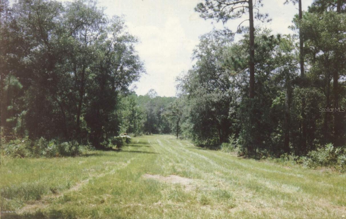 3191 SE 108 Ter., Morriston, FL 32668