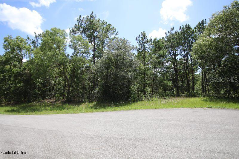 TBD SW 61st Cir., Ocala, FL 34476